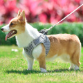 Arnês de cães com colarinho de colarinho combinando conjunto